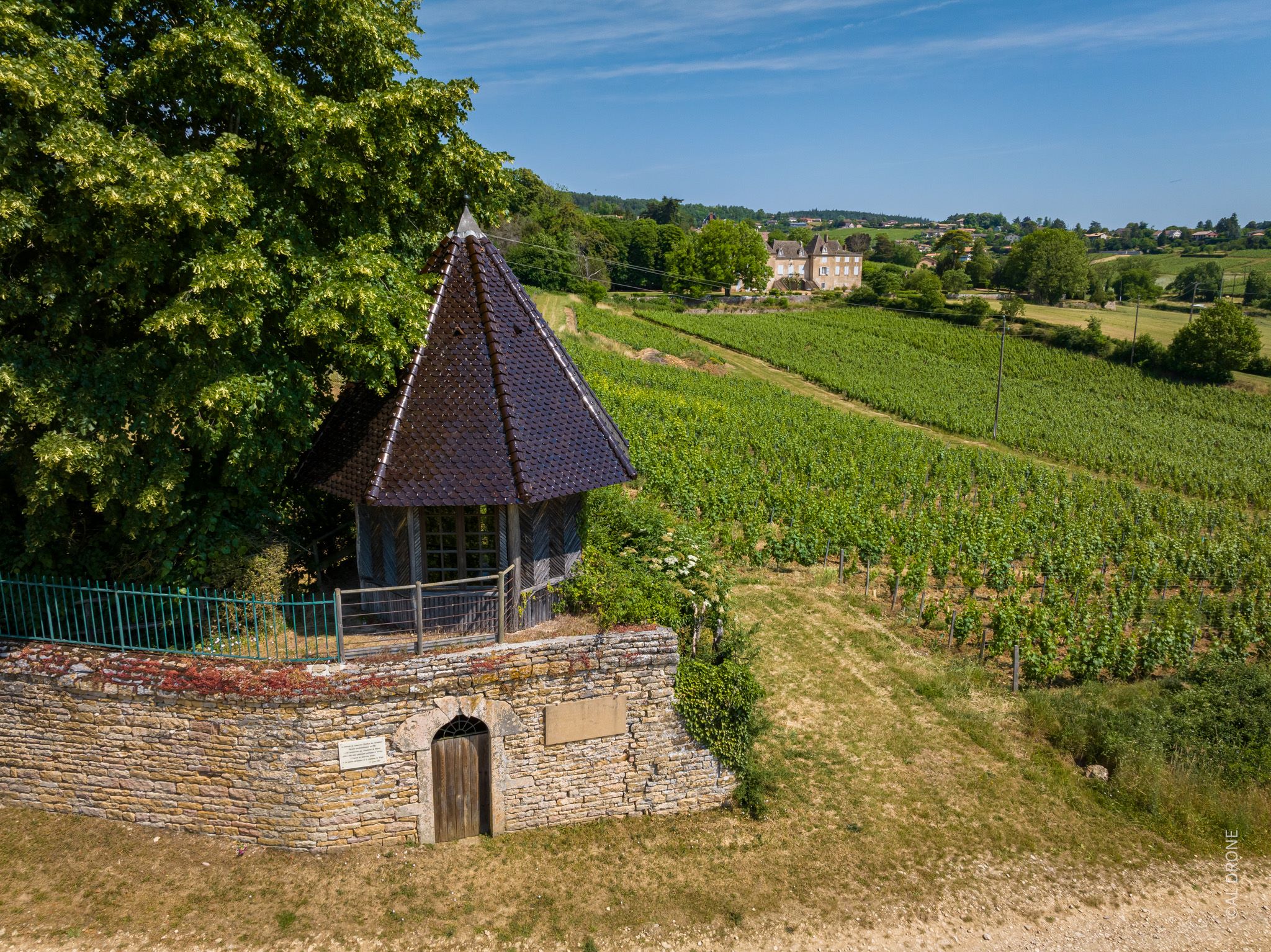 Des carrières de la Lie à la Solitude – La Roche-Vineuse