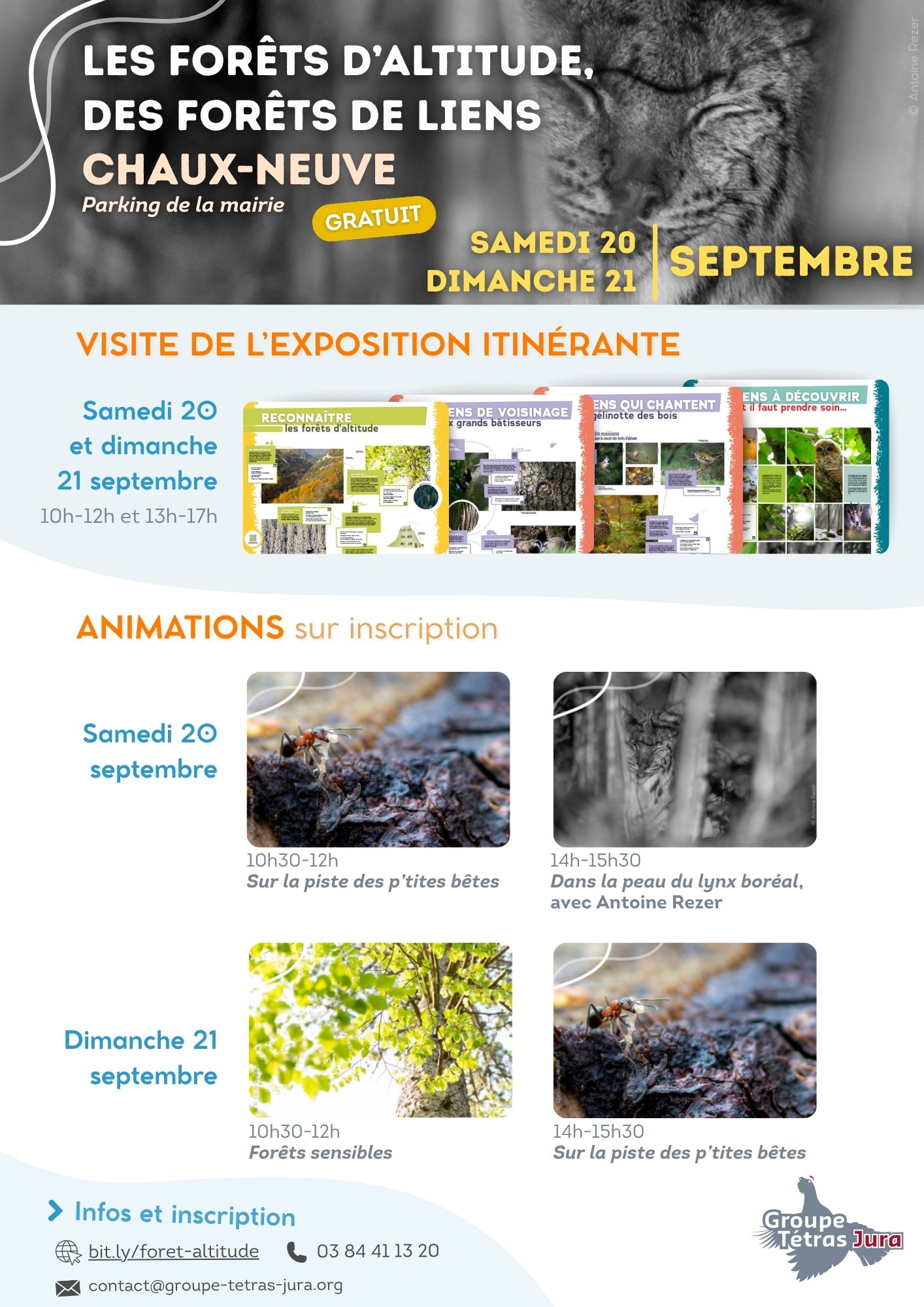 programmation chaux-neuve