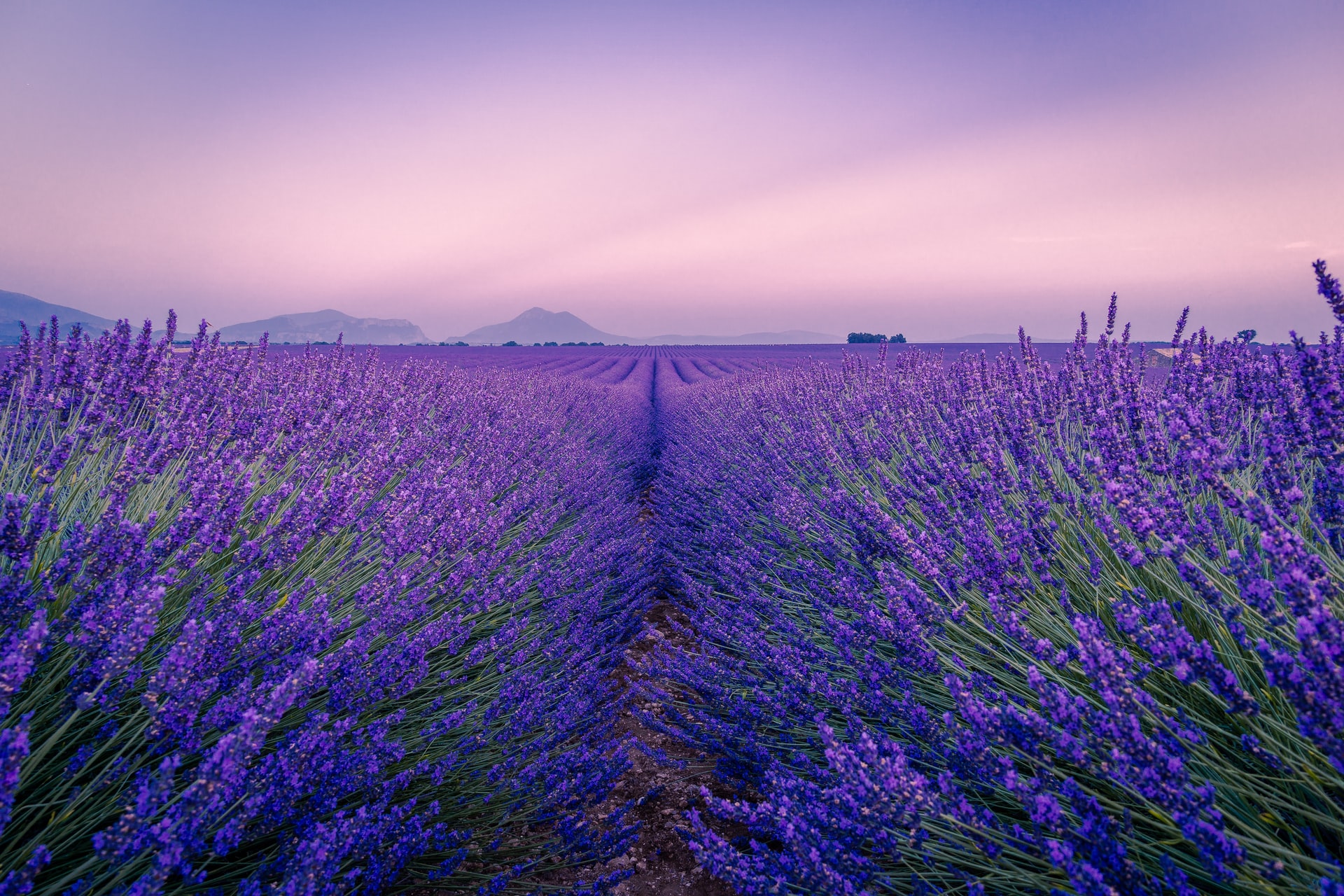 Provence
