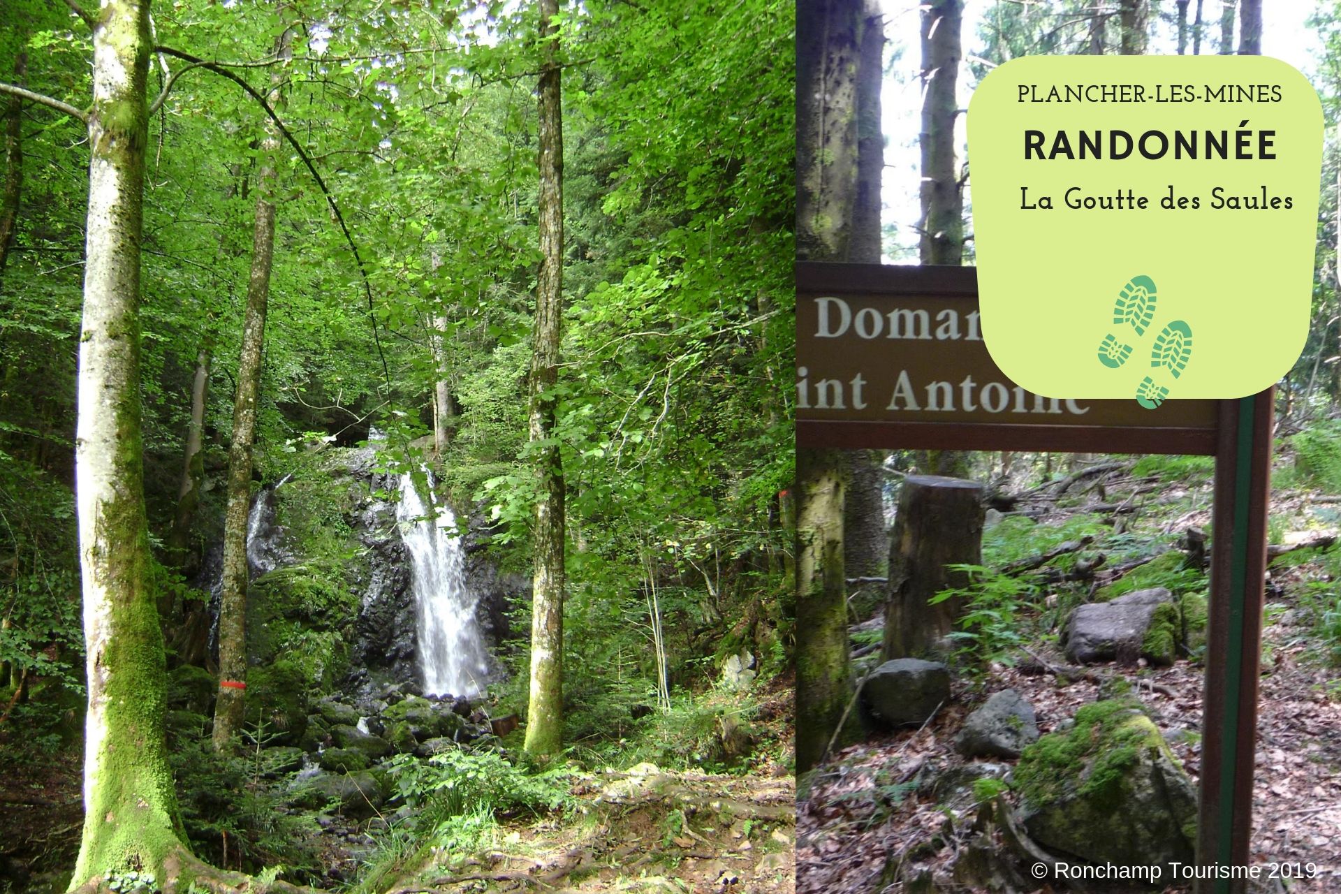 RANDONNÉE - LA GOUTTE DES SAULES  France Bourgogne-Franche-Comté Haute-Saône Plancher-les-Mines 70290