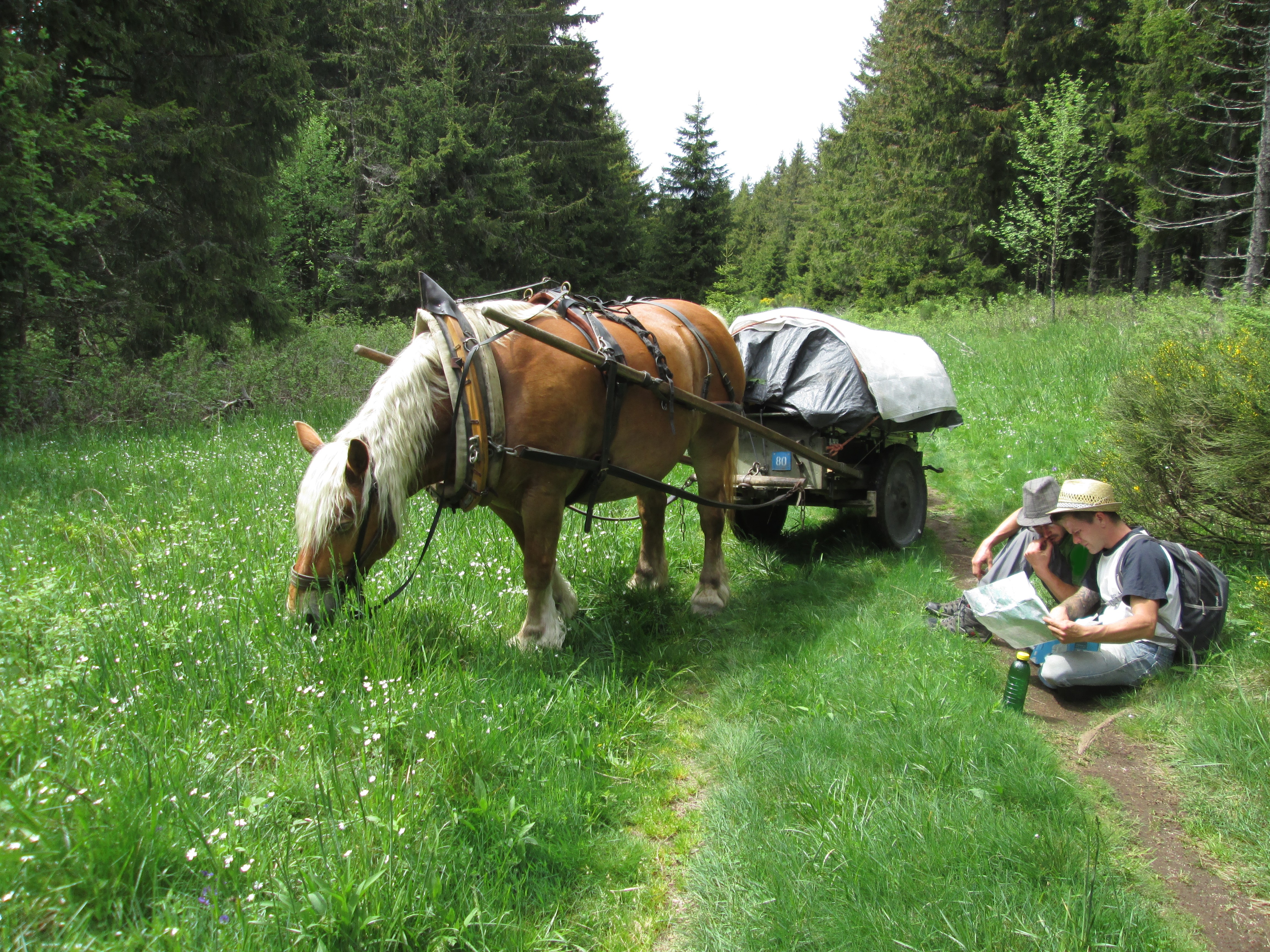 rando cheval baté 2023
