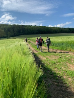 Randonnée "Plantes aromatiques" à Gézier