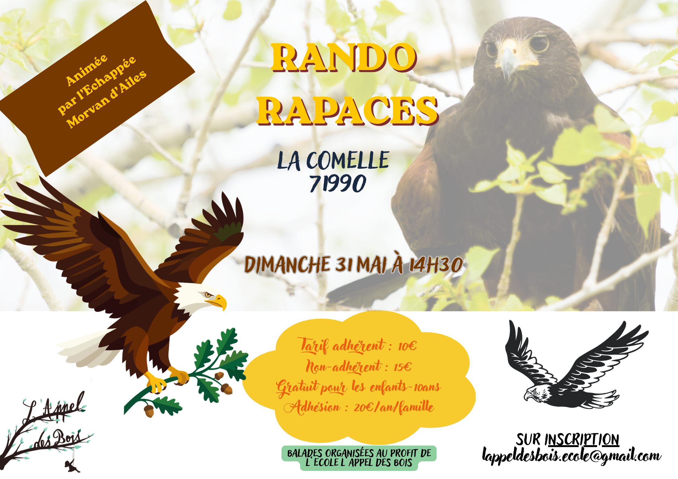 Rando Rapaces