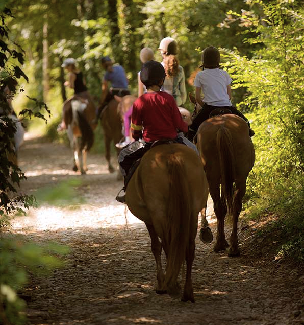 RANDONNÉE ÉQUESTRE DANS LE VÉZELIEN
