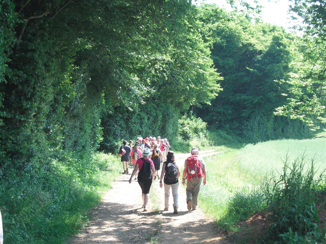 Lavoirs et Fontaines