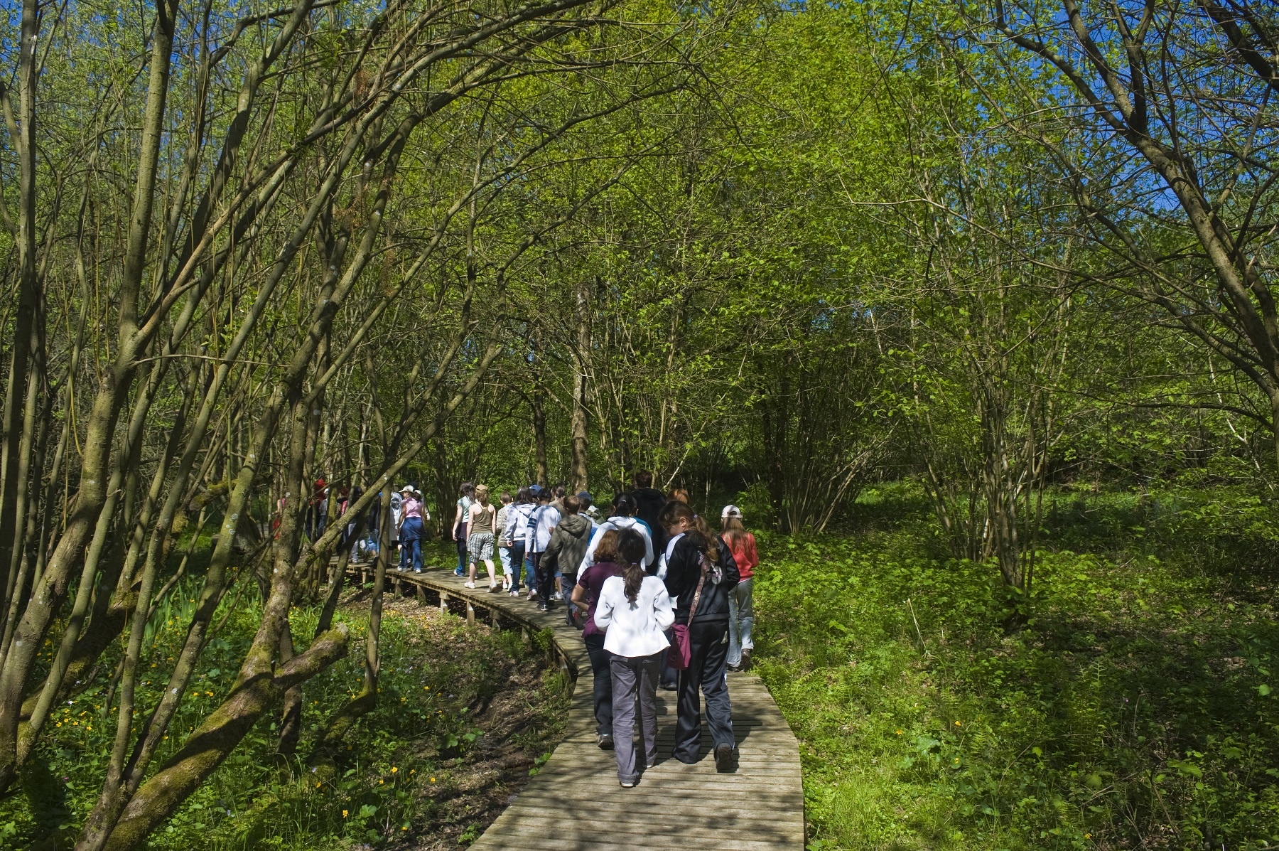 Arboretum