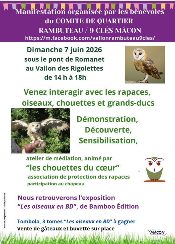 Rencontre avec les rapaces de l'association les chouettes du coeur