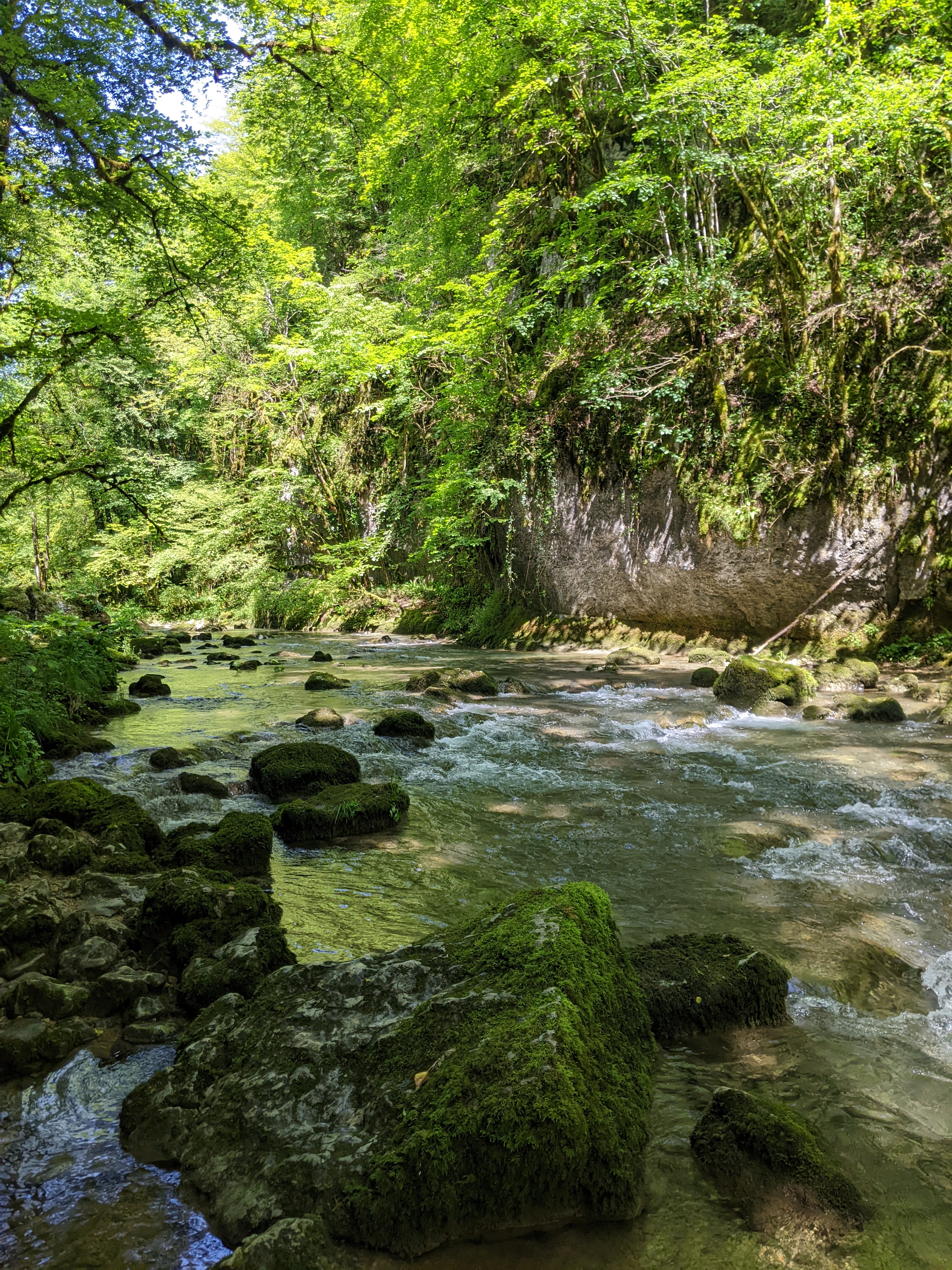 Sentier Courbet 6 : Le Ravin du Puits Noir, l'atelier en nature