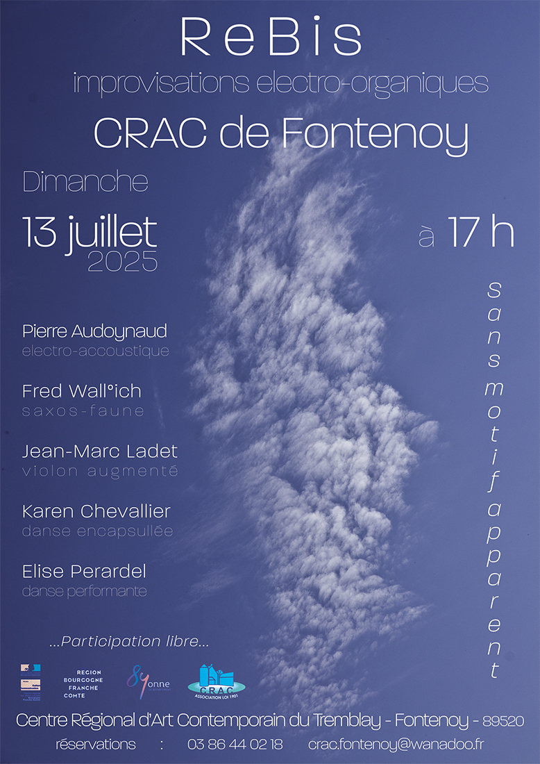 Rebis Improvisation électro-organiques