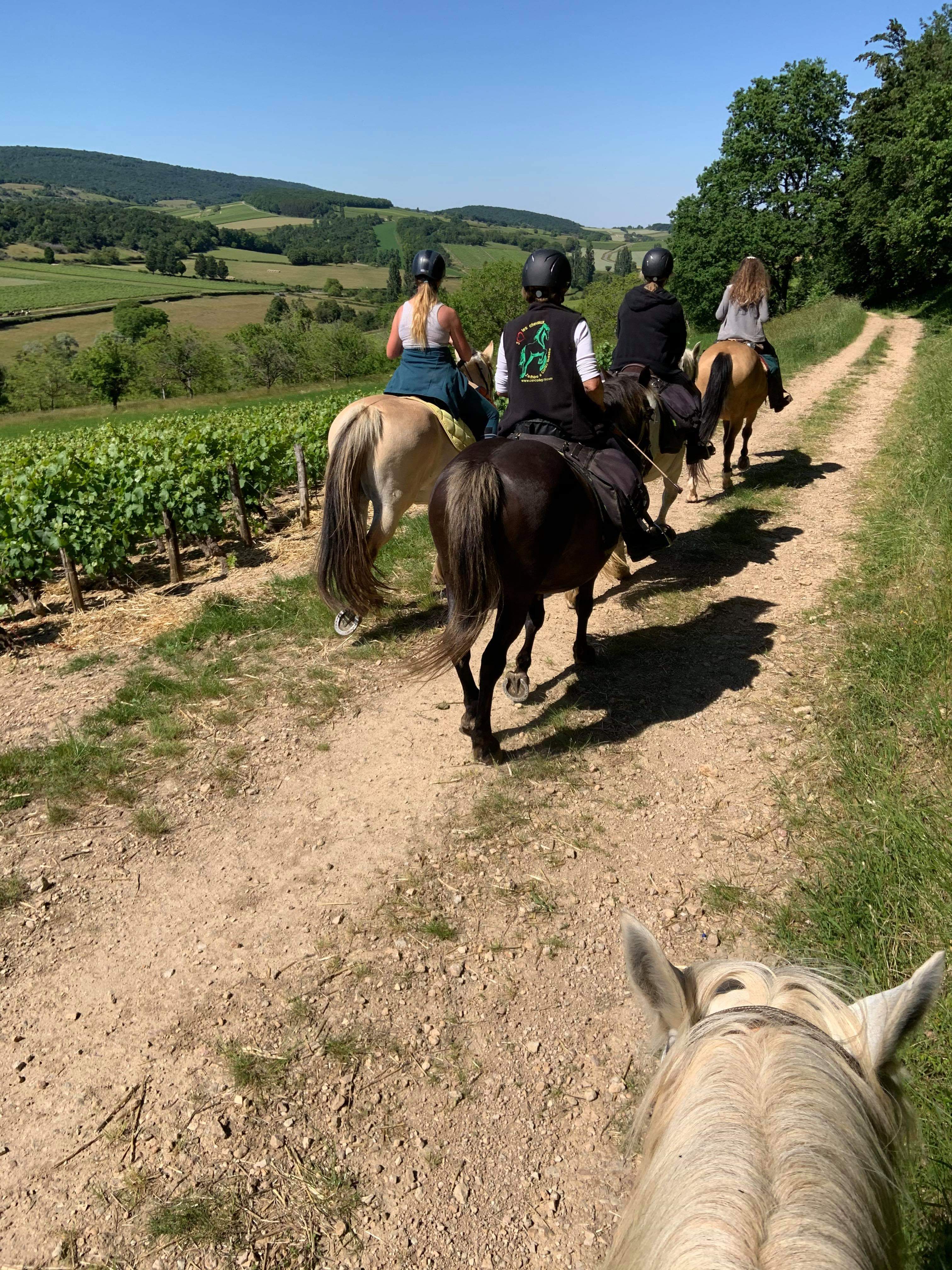 promenades à cheval