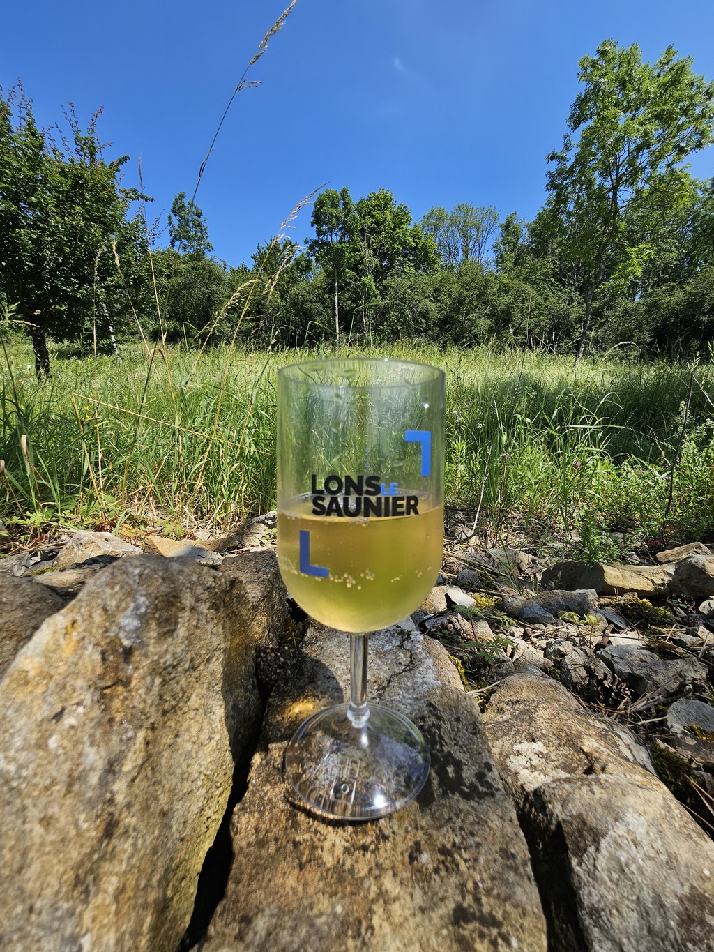 De la vigne au caveau du domaine Pignier