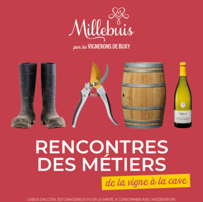 Les Rencontres des métiers de la vigne à la cave