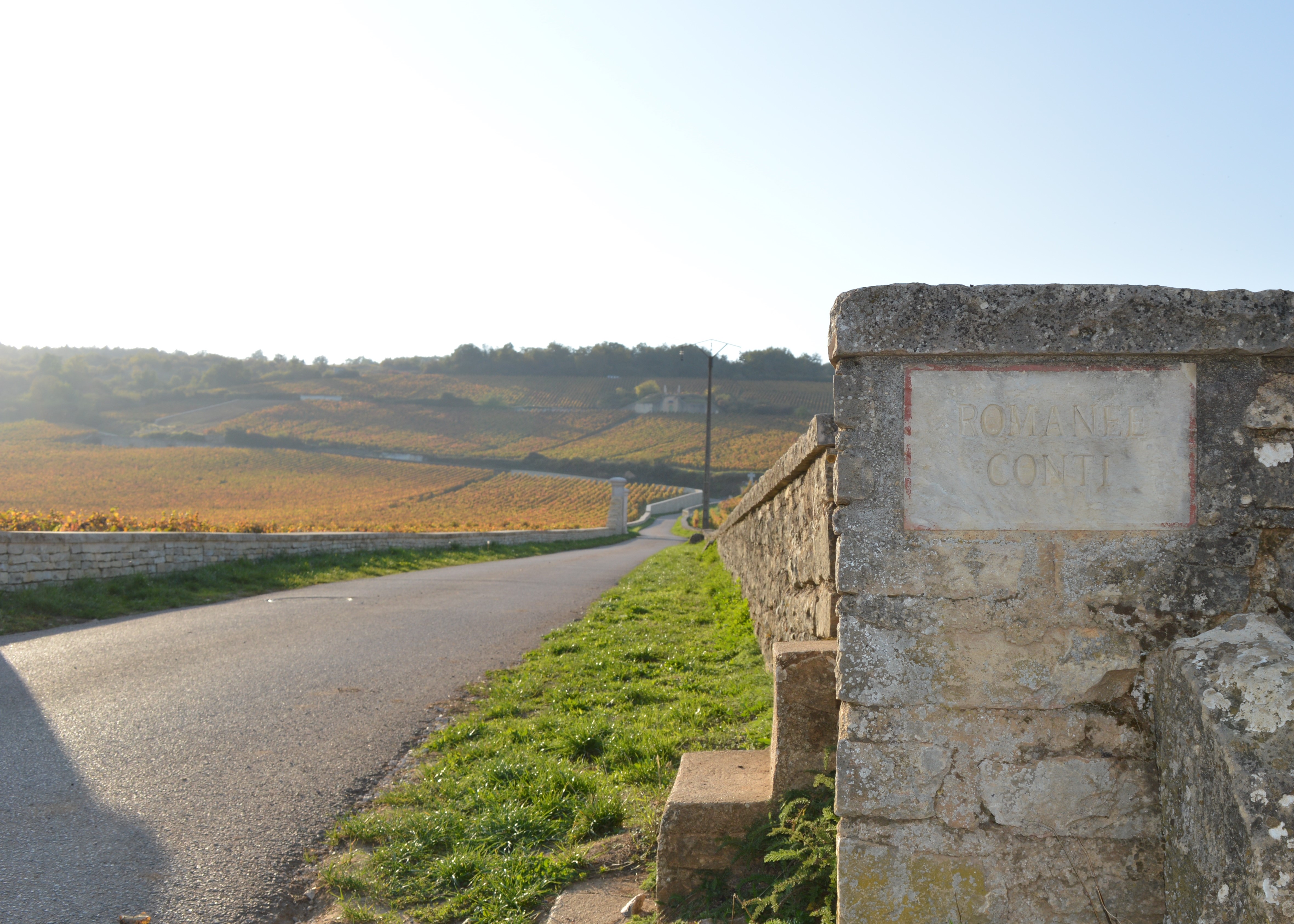 romanee_conti AT (1)