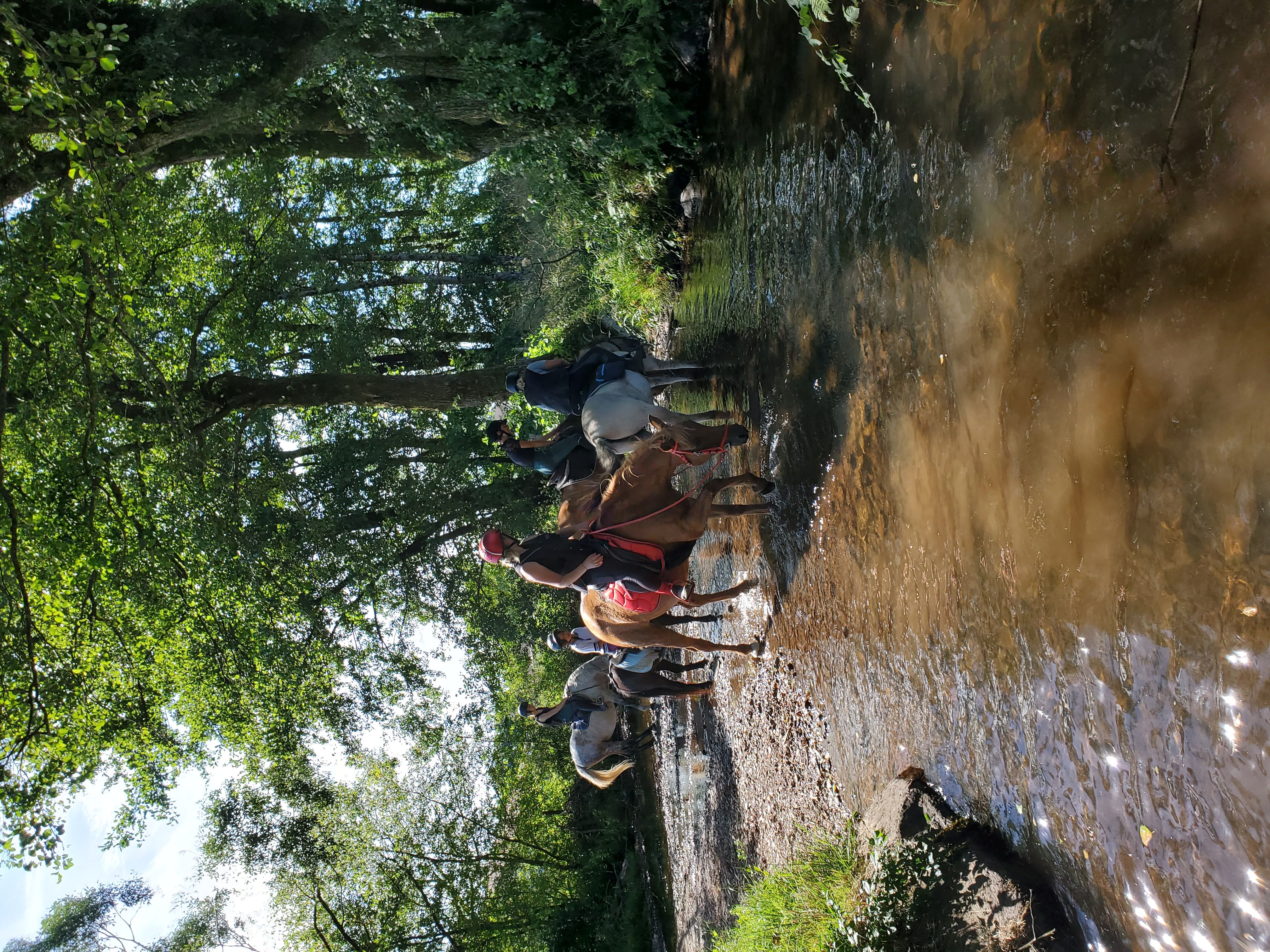 sabots-dans leauLACHAPELLE