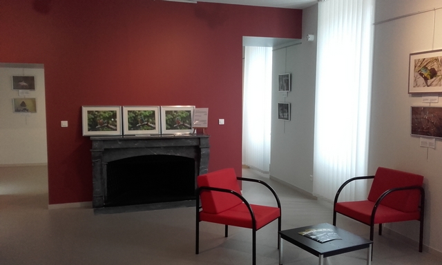 Office de Tourisme Rives du Morvan - BIT de Moulins-Engilbert