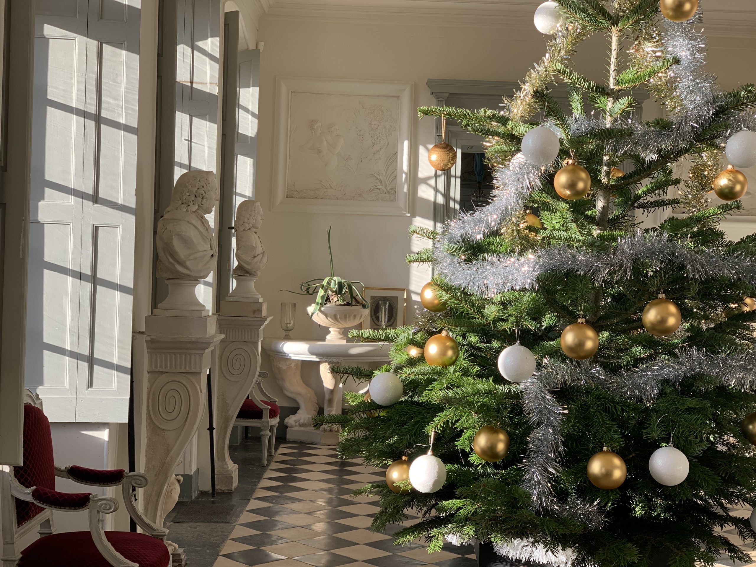 Sapin dans le vestibule