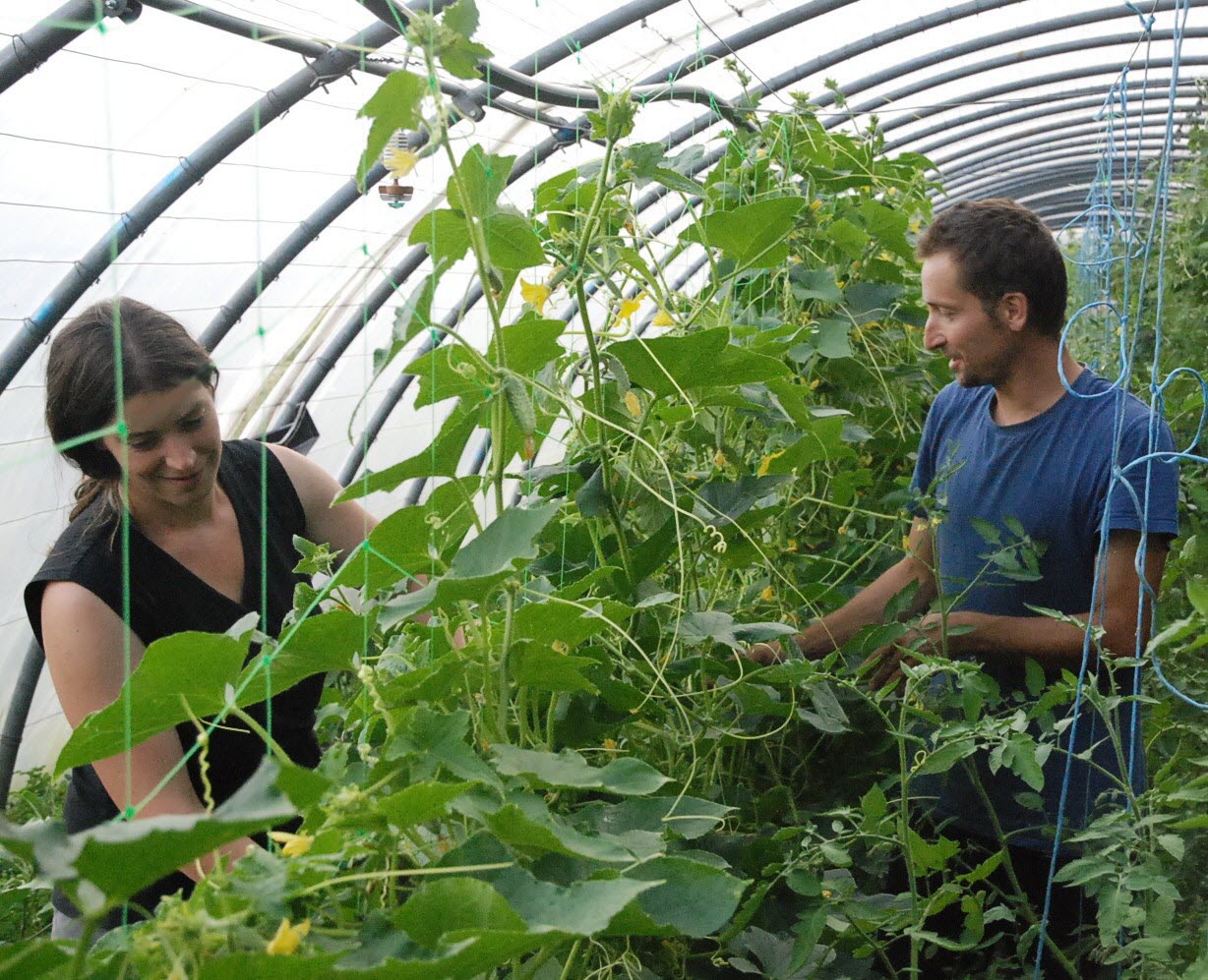 sarah-et-david-dans-les-serres-du-jardin-de-la-source-a-ternuay-photo-d-archives-er-clp-1585304412