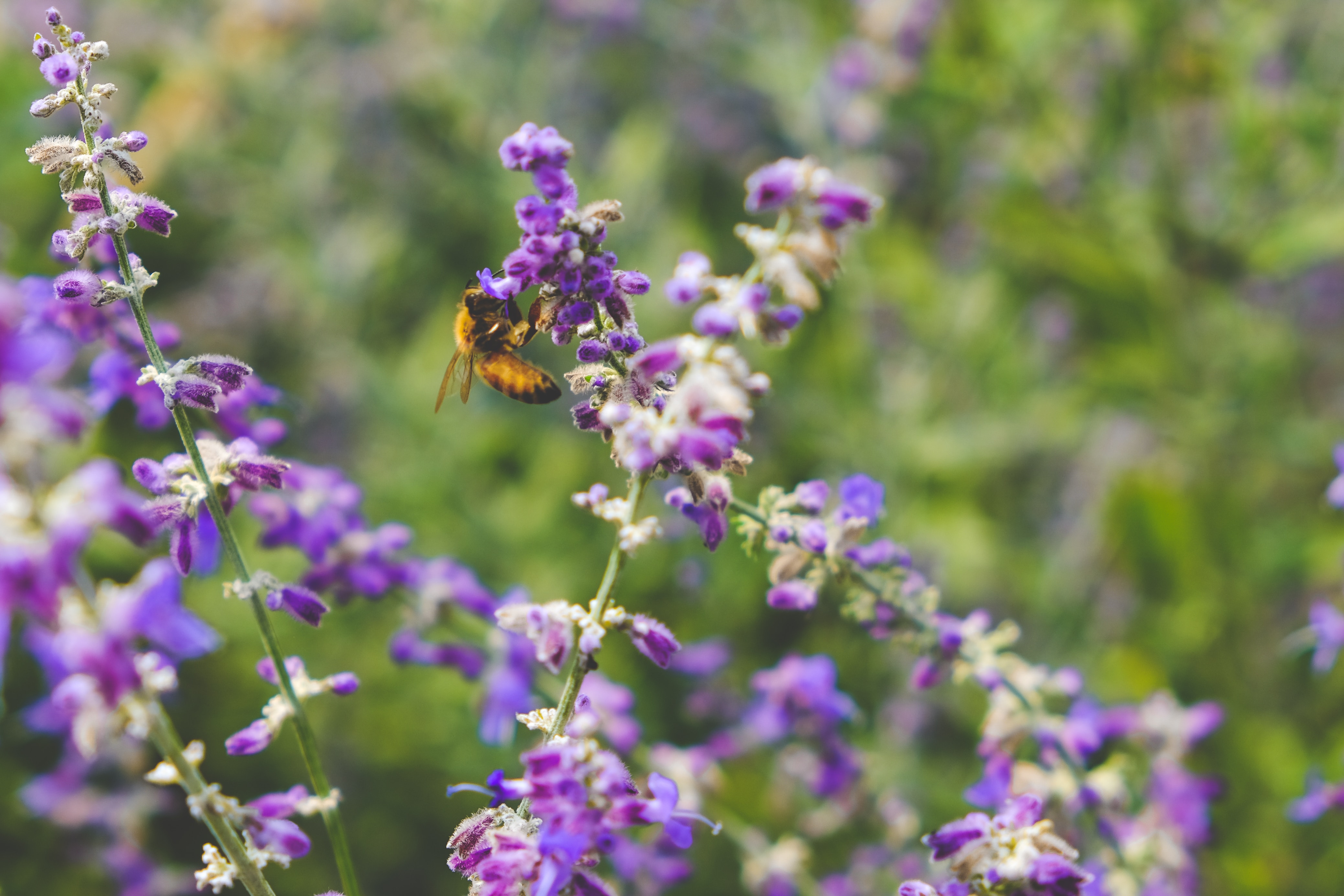scotty-turner-dVLq8y3NgY4-unsplash