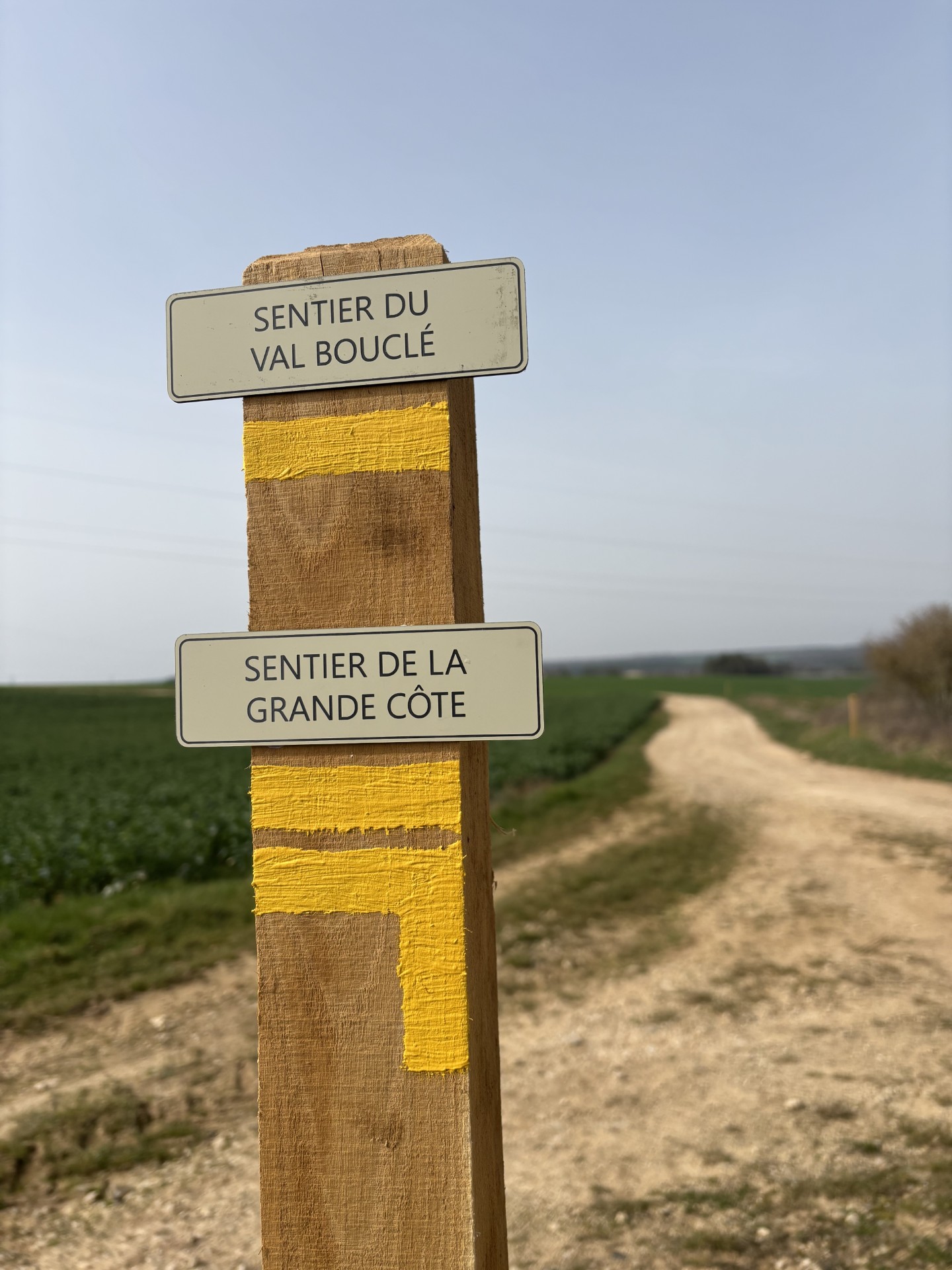 Randonnée viticole à Molesme - Domaine DANGIN