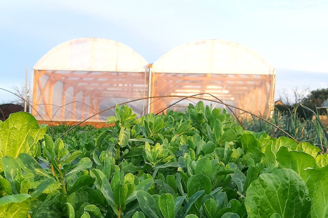 Portes ouvertes et visite libre du jardin