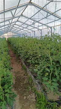 Au Potager des Magny