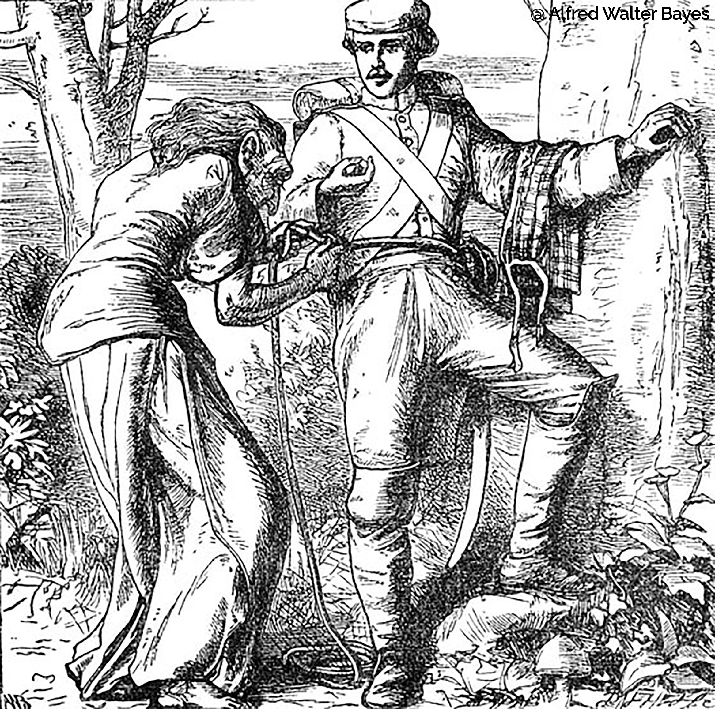 siesteconte@alfred-walter-bayes