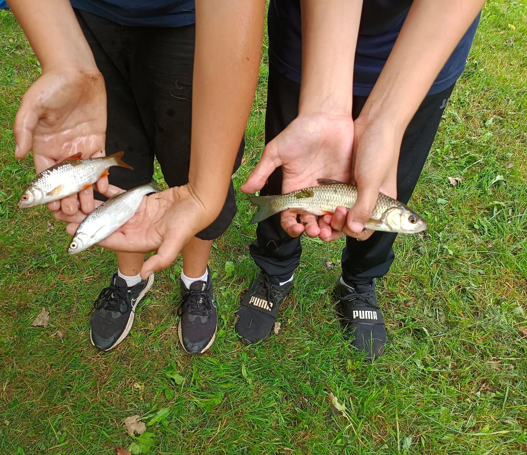 signal-2023-08-12-12-42-07-556