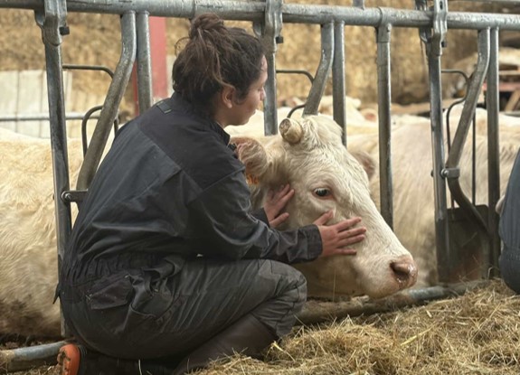 Echange autour de l'ostéopathie animale
