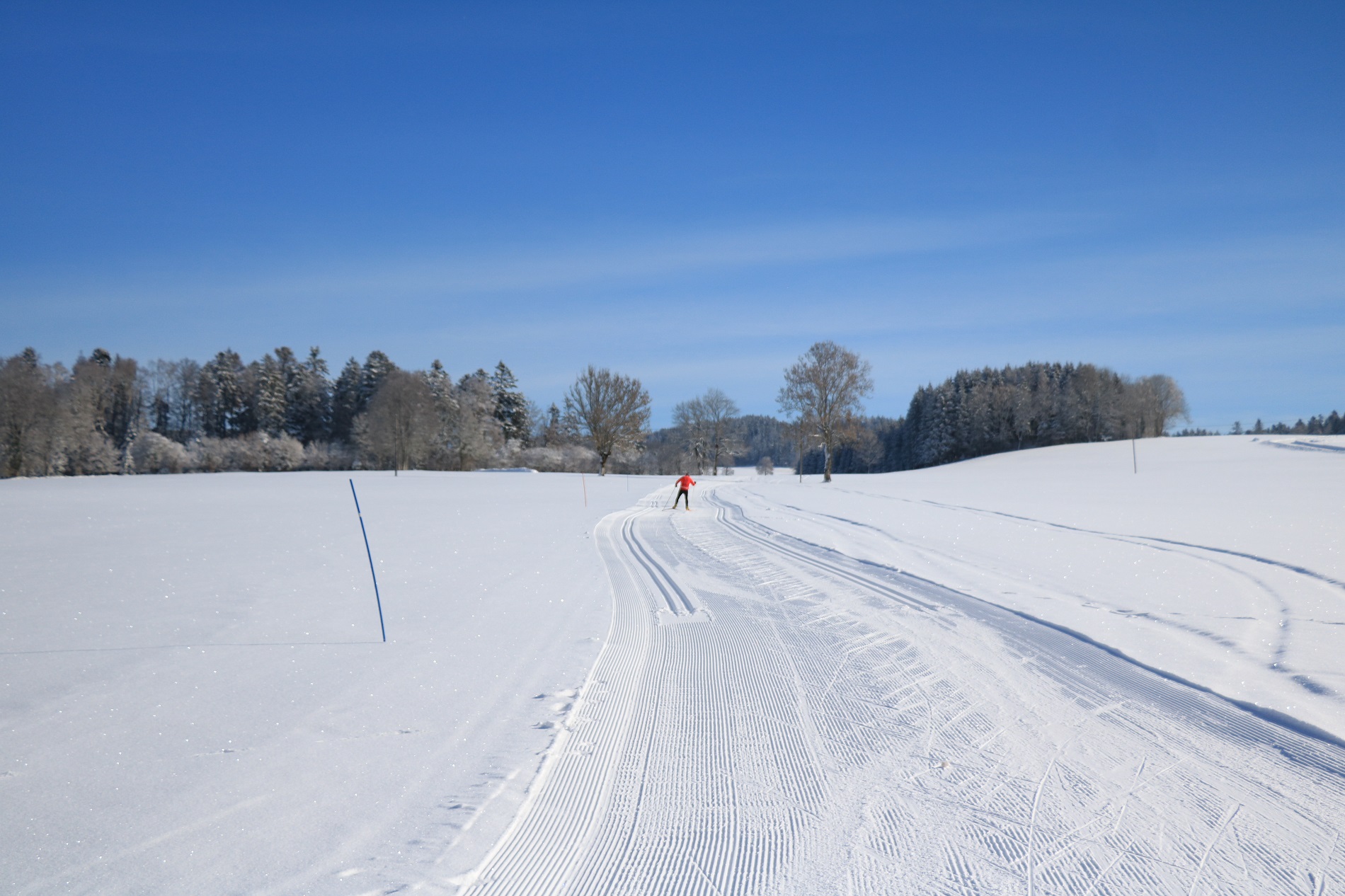 skidefond©elisepourny