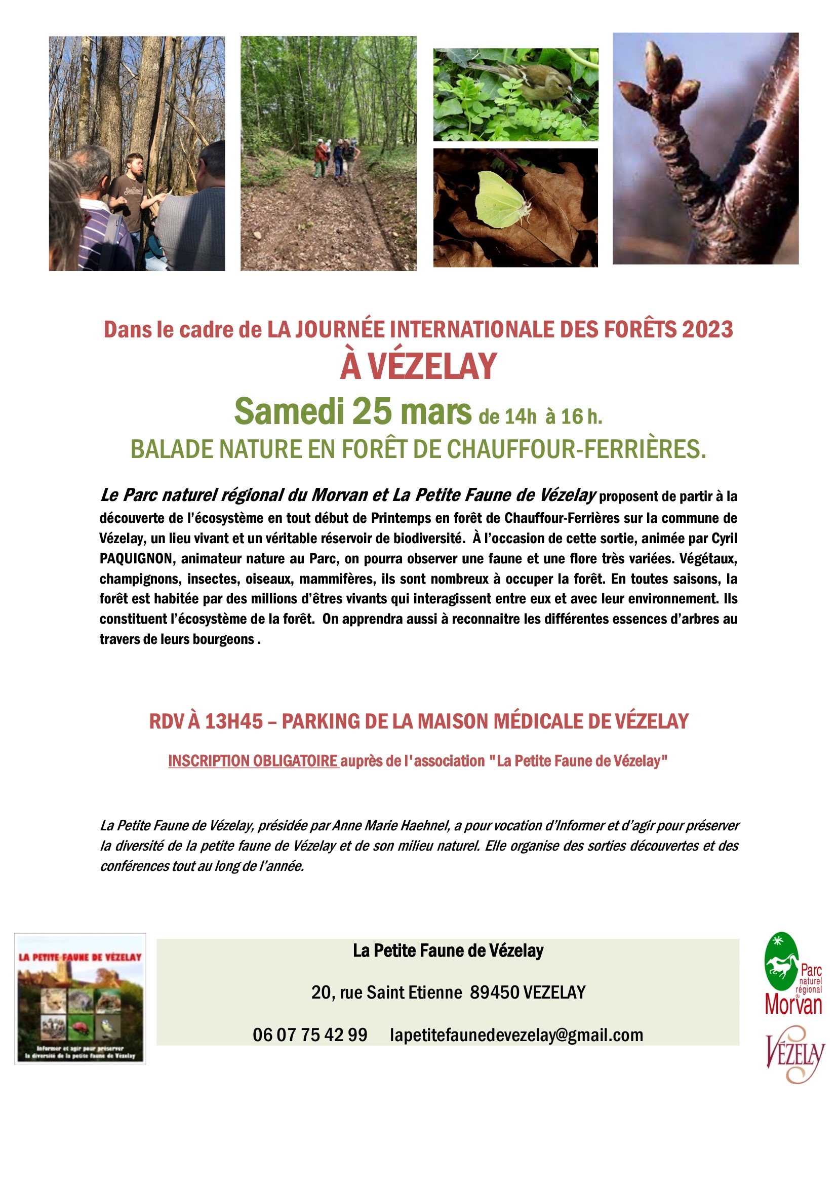 lapetitefaunedevezelay