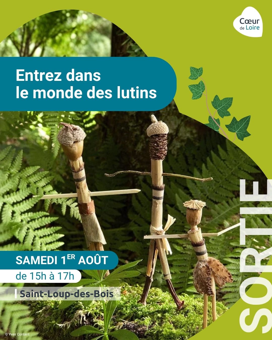 Entrez dans le monde des lutins