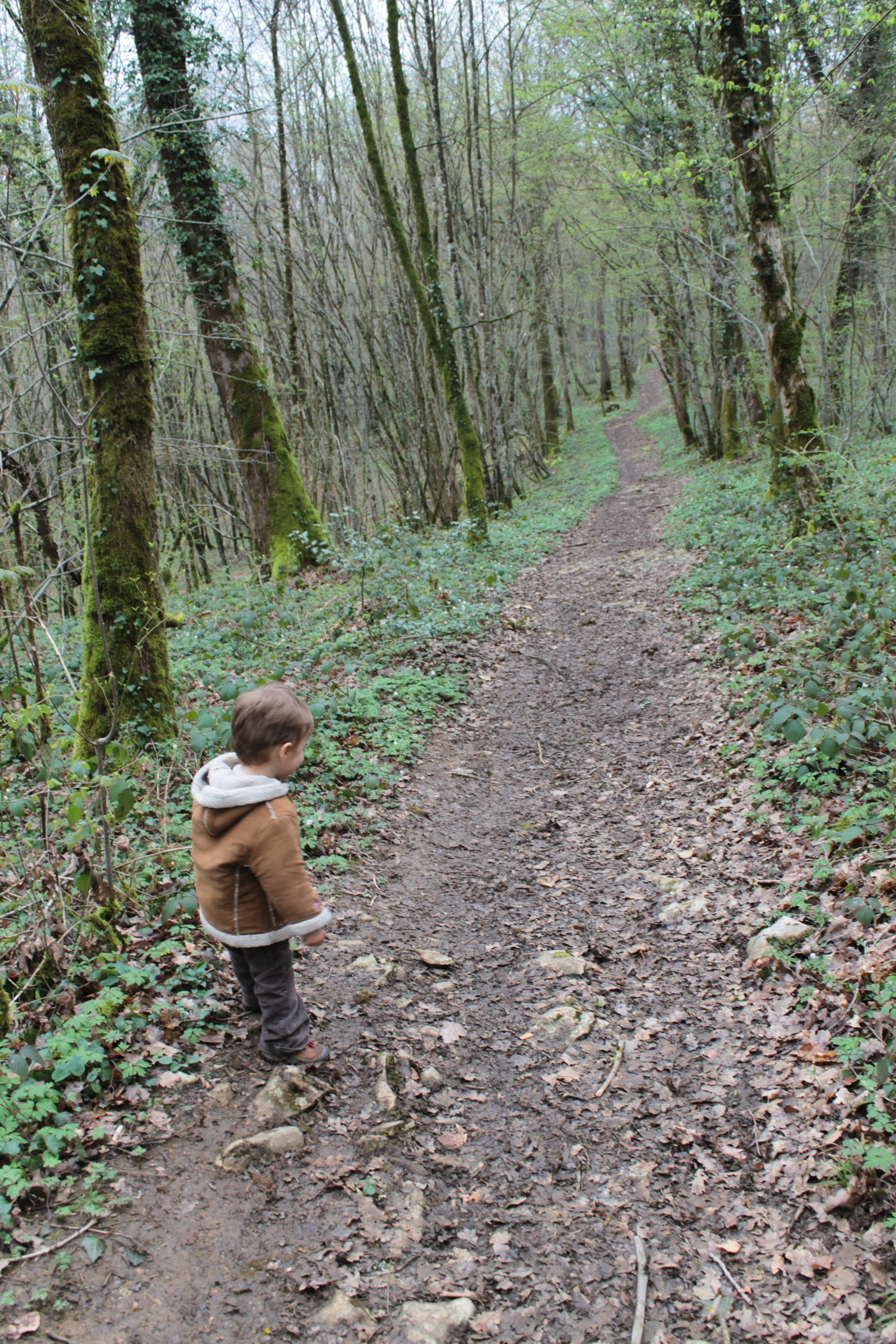 sortie nature © Grégory Le Moing  (6)