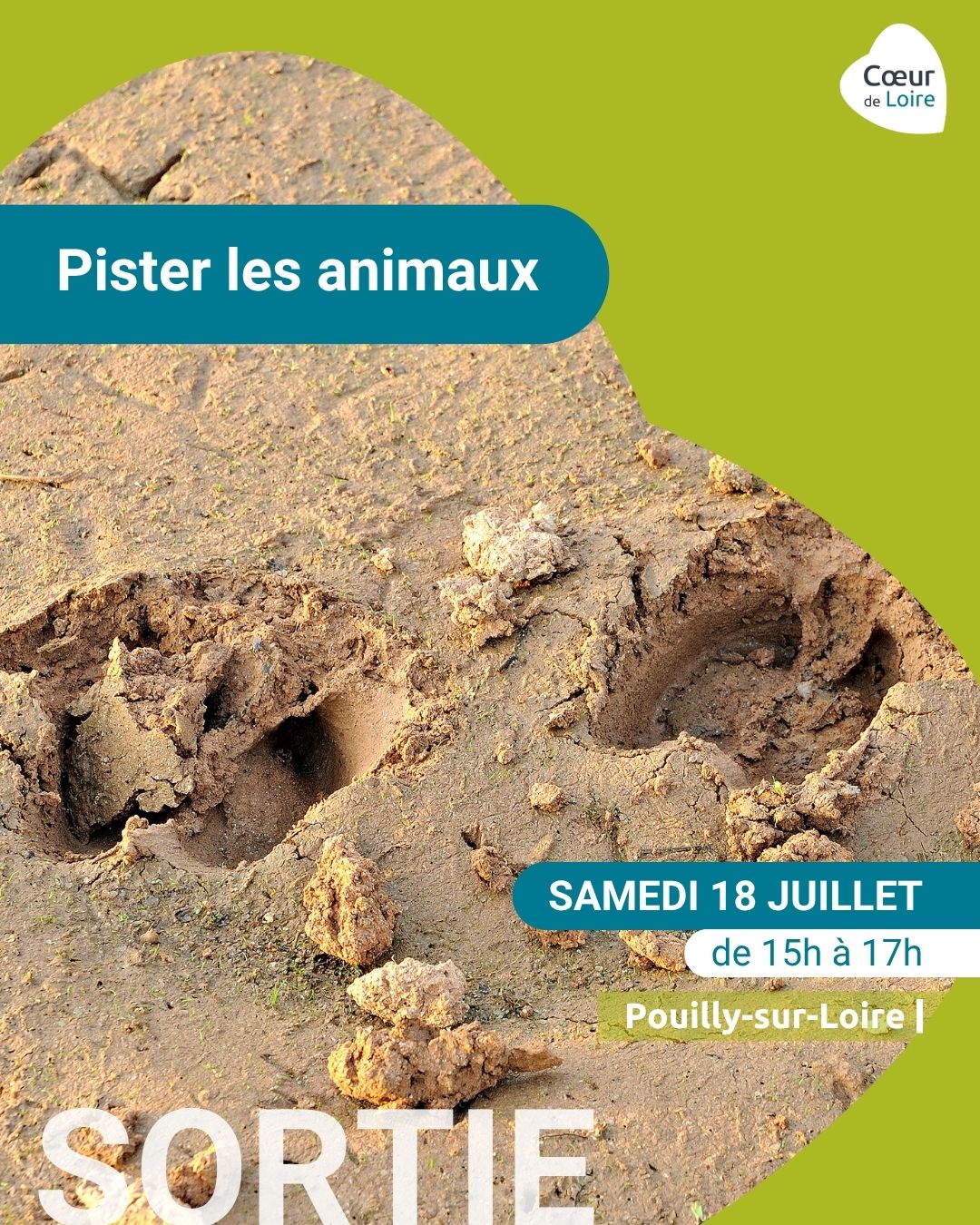 Sortie "Pister les animaux"