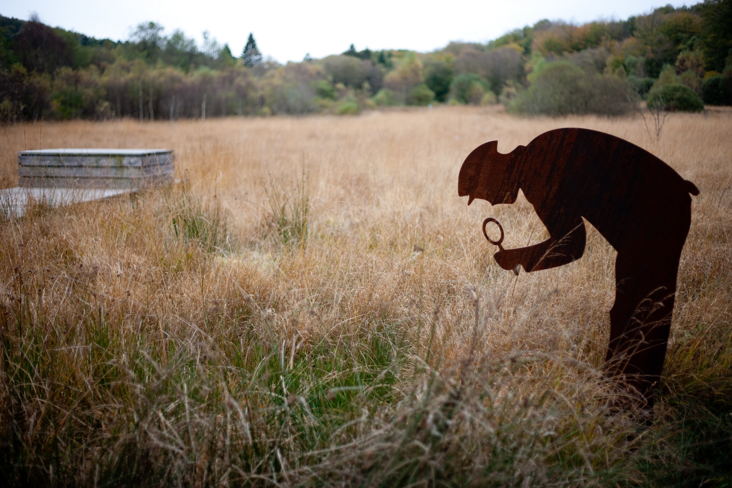 Les Sources de l'Yonne