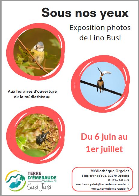 sous nos yeux