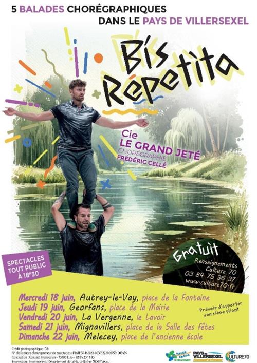 Spectacle de danse contemporaine "BIS REPETITA"