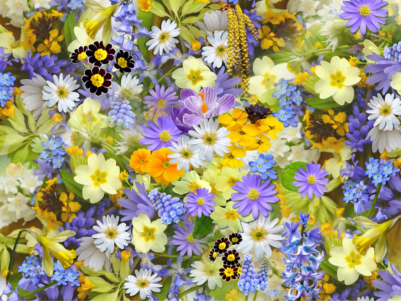 Atelier floral