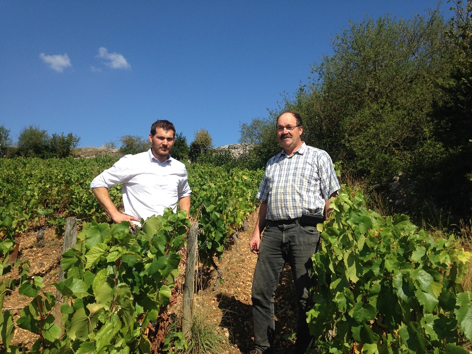 Lucien&François Rocault vignerons