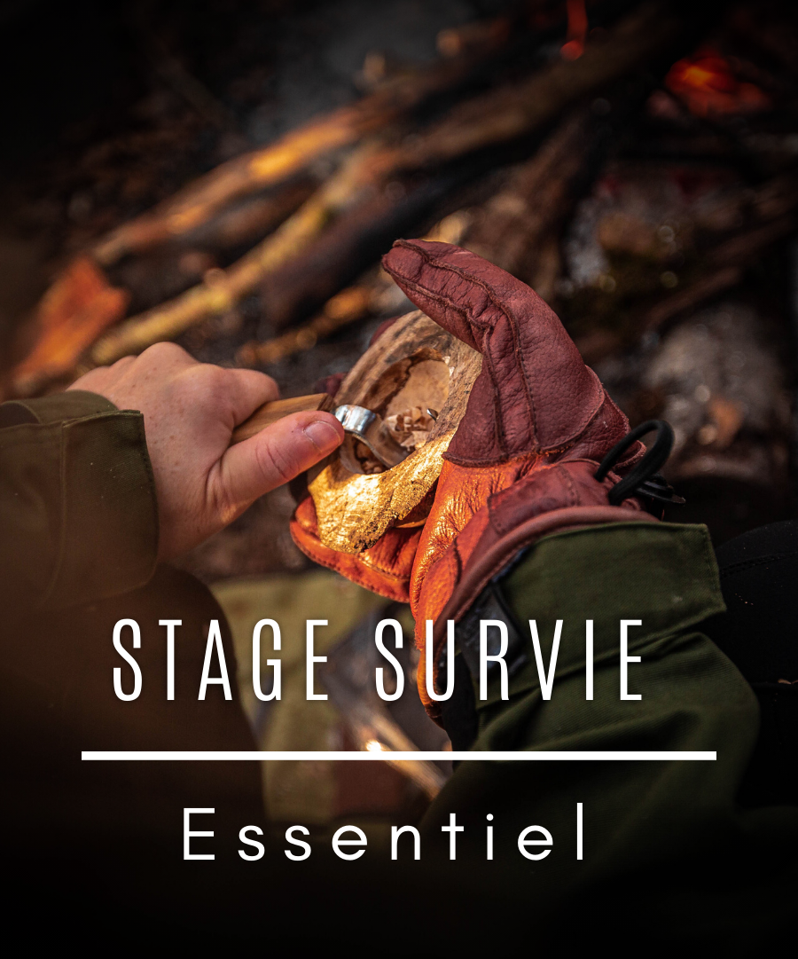 stage-de-survie-essentiel-doubs-2-jours