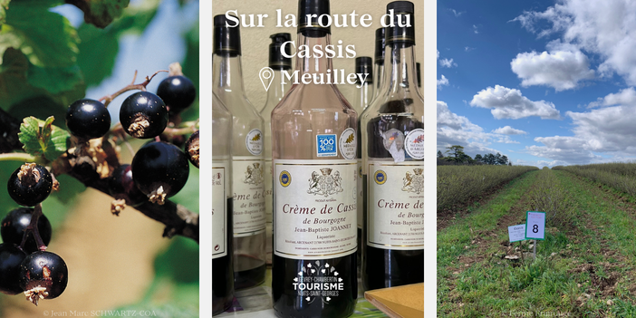 Voyage sur la route du cassis