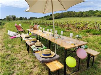 Visite et pique-nique dans les vignes - Vitteaut-Alberti