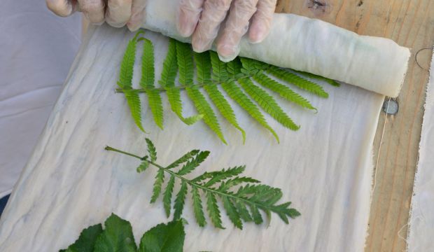 teinture_vegetal