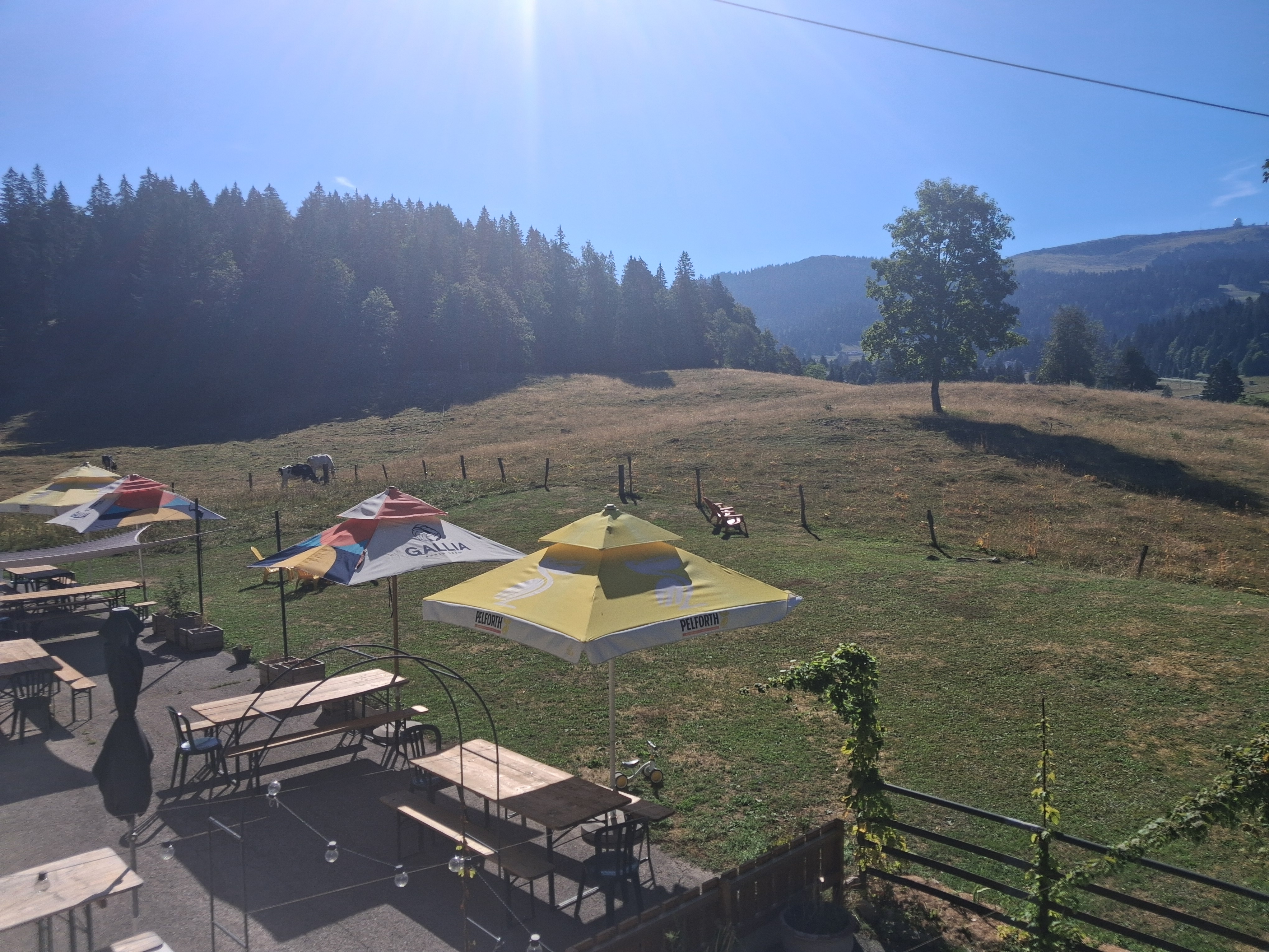 Bistrot du Chalet des Tuffes