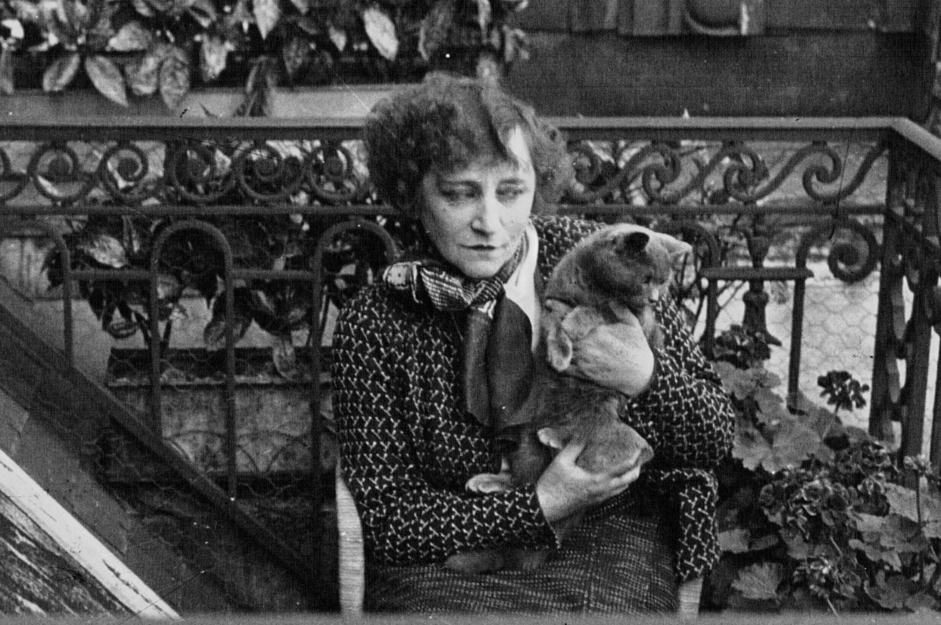 Colette
