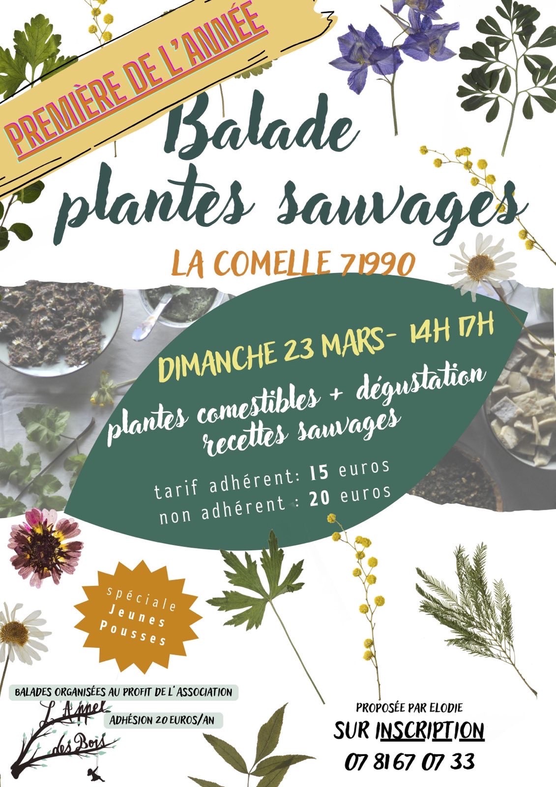 Balade comestible