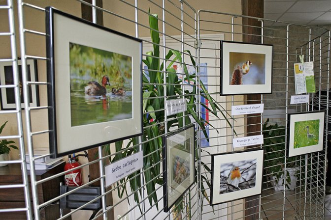 thumbnail_portraits-doiseaux (1)