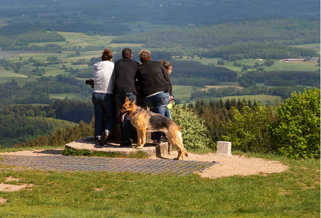 Toutou't'à pied : une balade qui a du chien à Bibracte !