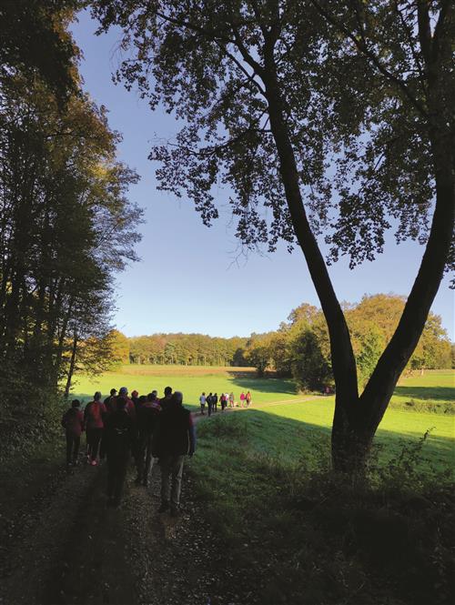 Trail des dolines