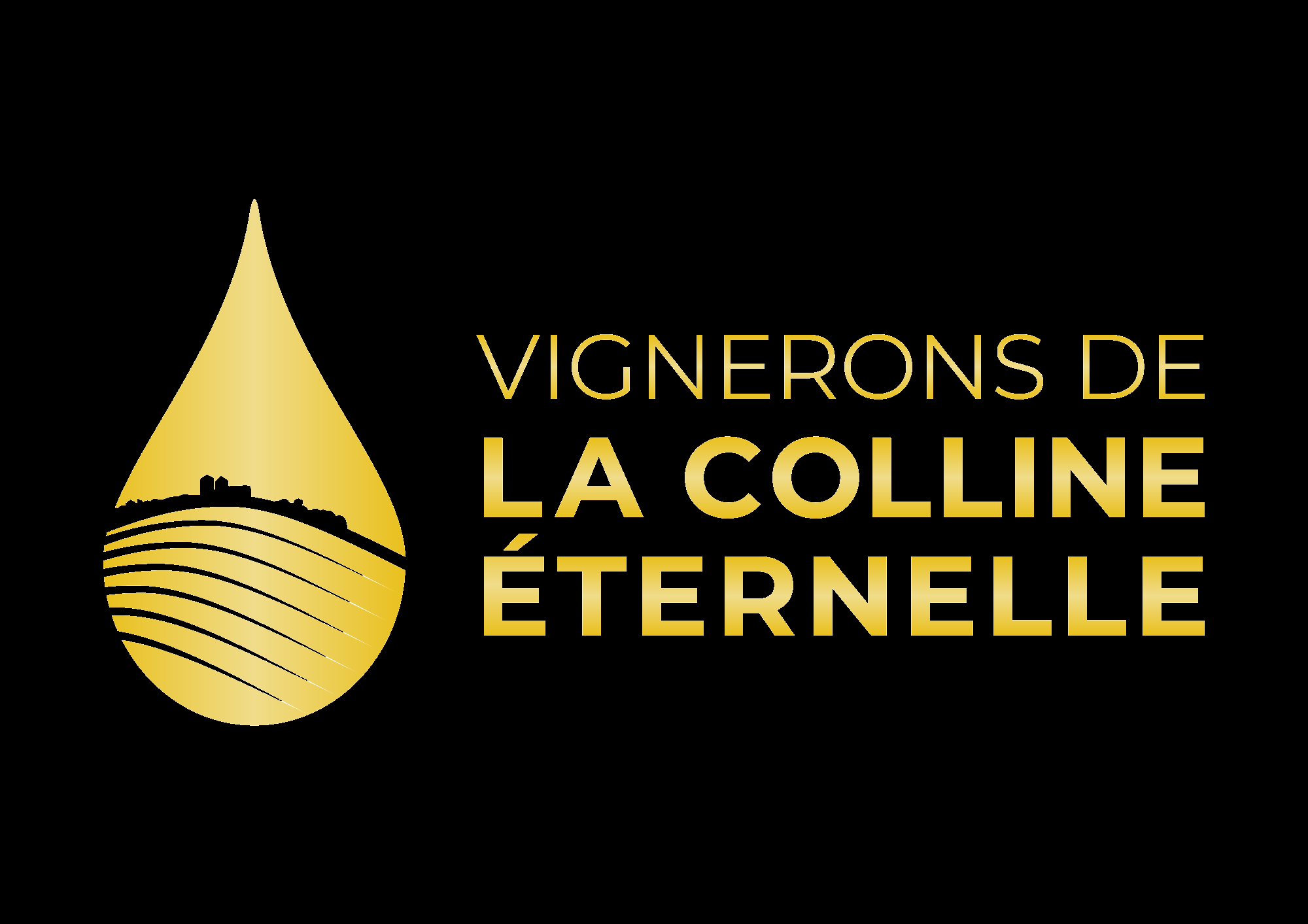 vce_logo-or-horizontal (2)