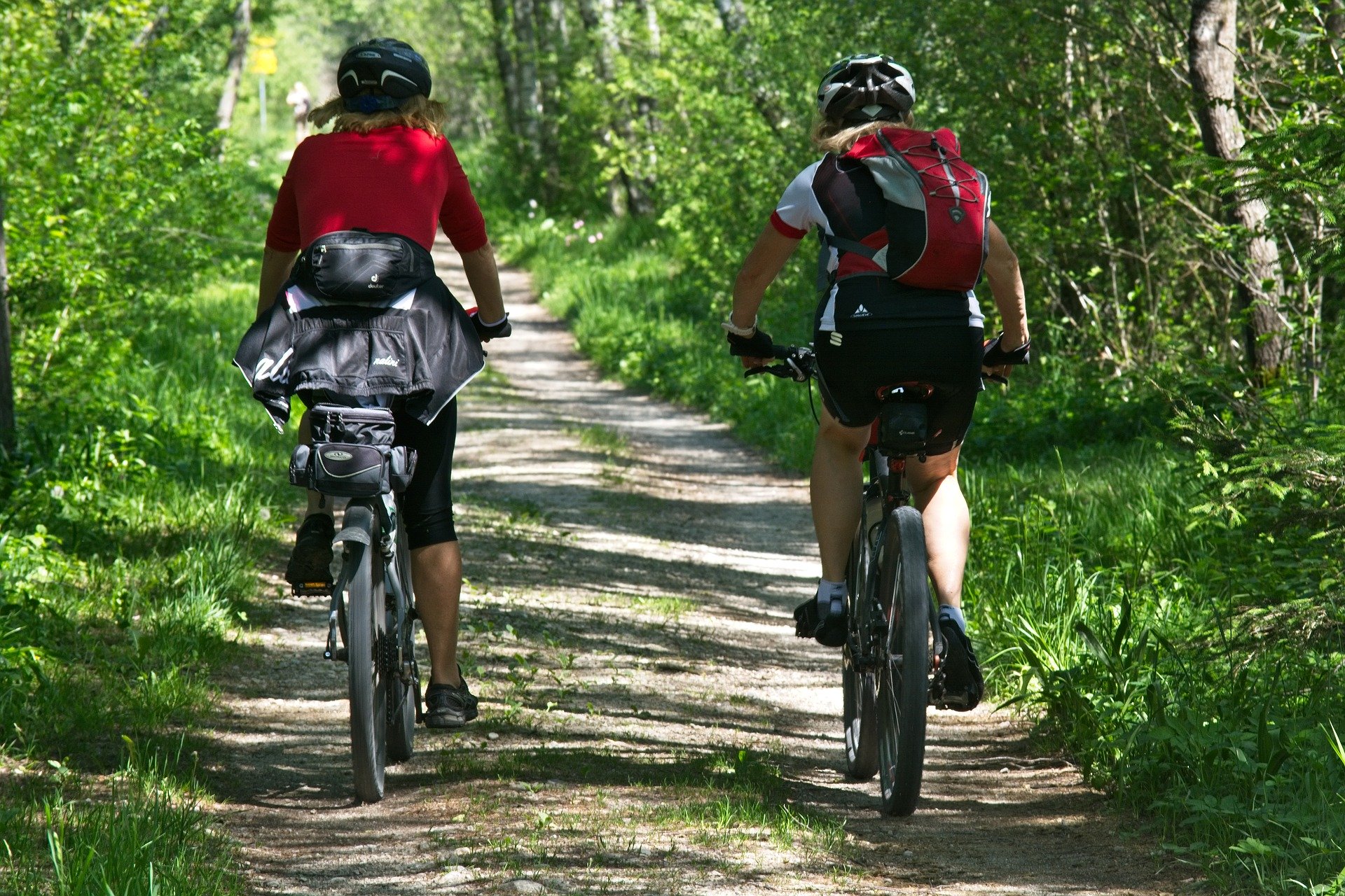 Sortie VTT